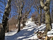 CASTEL REGINA e PIZZO CERRO innevati da Catremerio (11febb21) - FOTOGALLERY